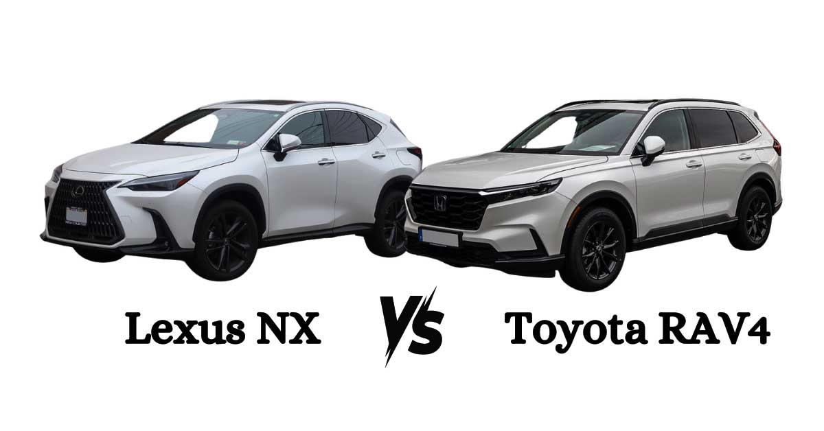 Lexus-NX-vs-RAV4